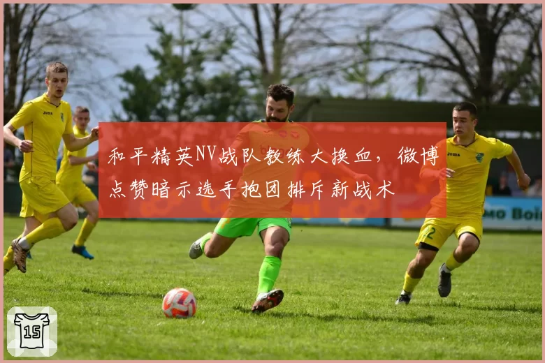 和平精英NV战队教练大换血，微博点赞暗示选手抱团排斥新战术